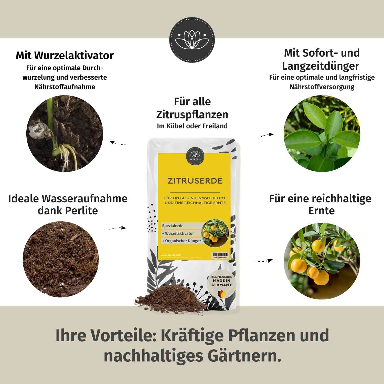 JASKERS® Zitruspflanzenerde Mit Dünger