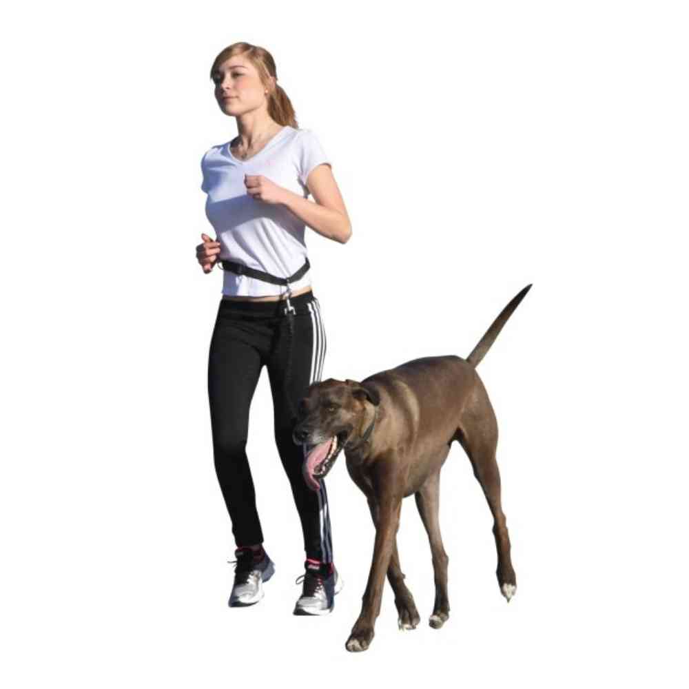 Hundeleine Joggingleine mit Hüftgurt Active
