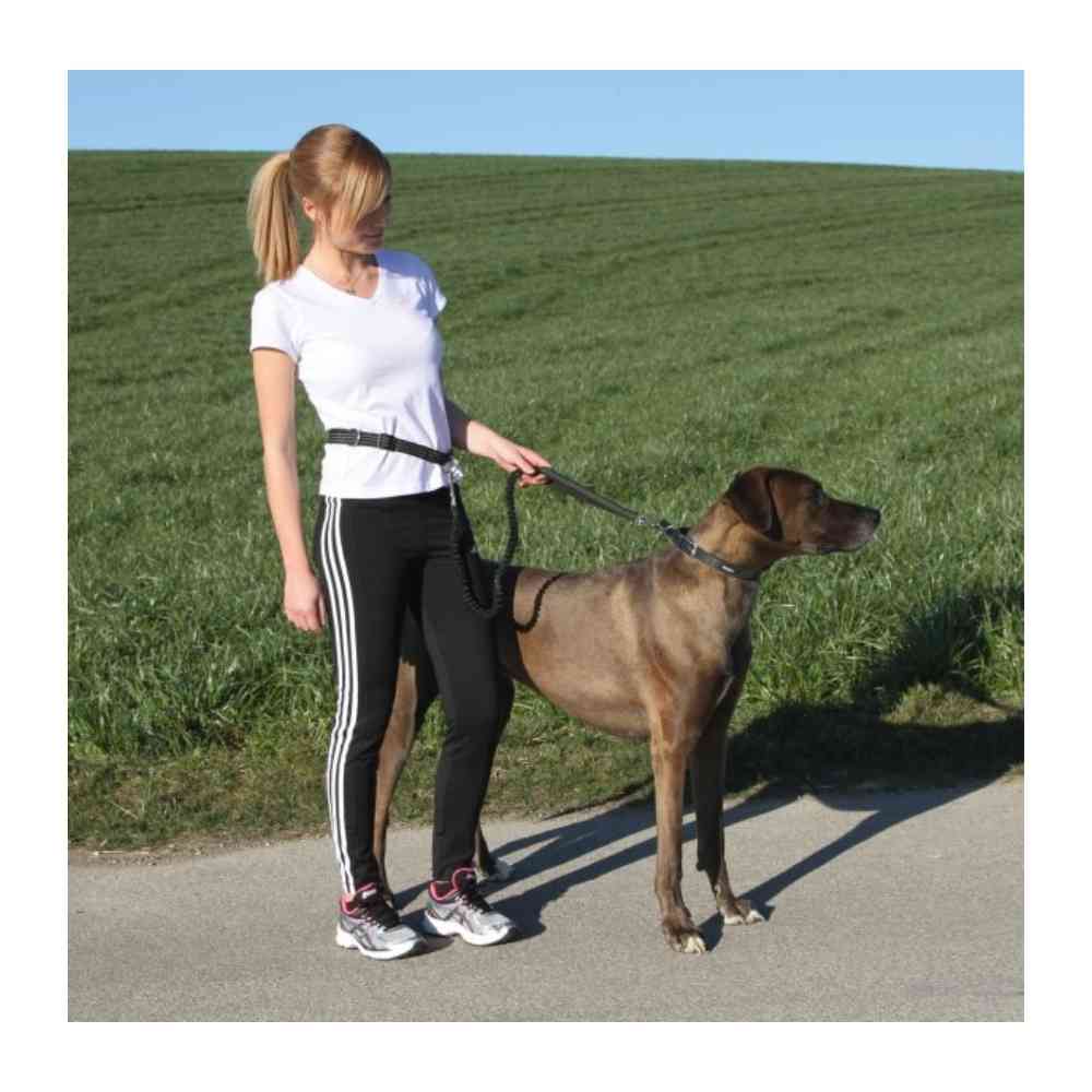 Hundeleine Joggingleine mit Hüftgurt Active