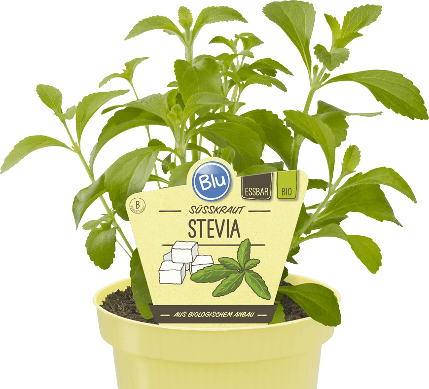 Blu Bio Stevia