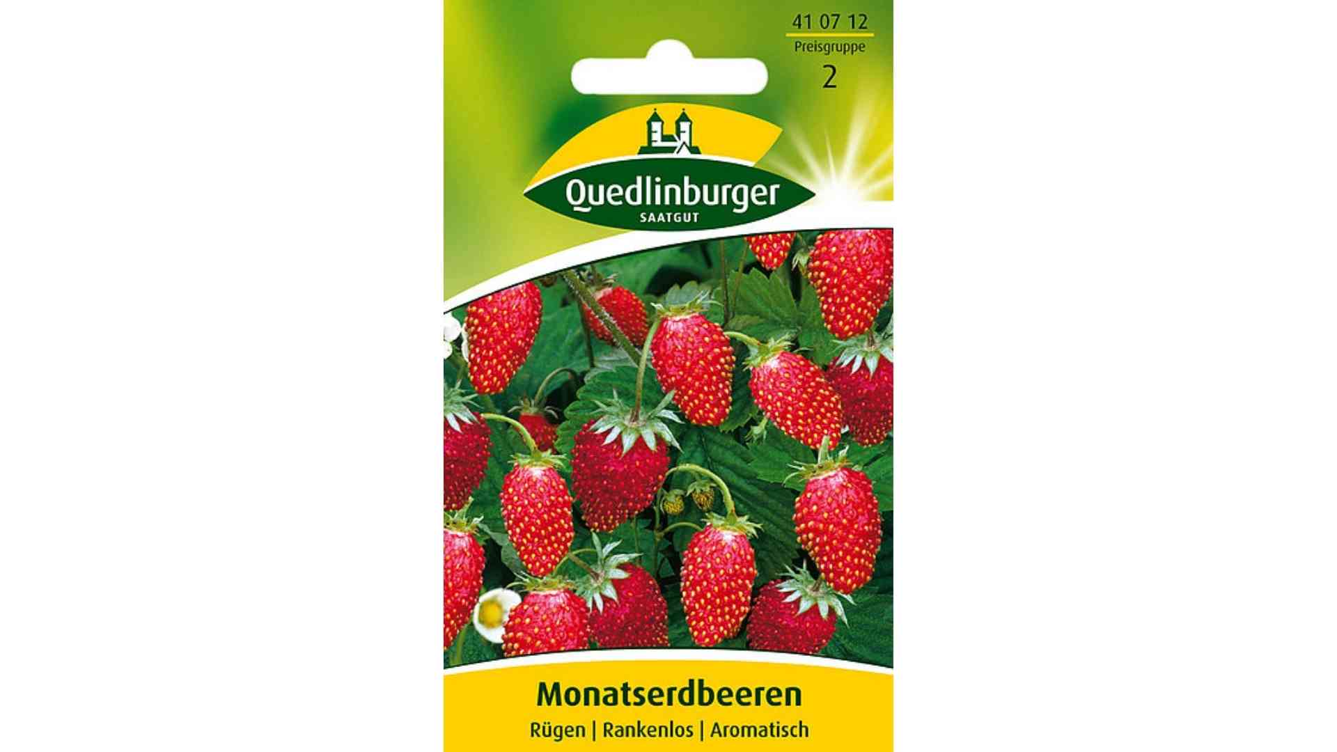 Monatserdbeeren Rügen