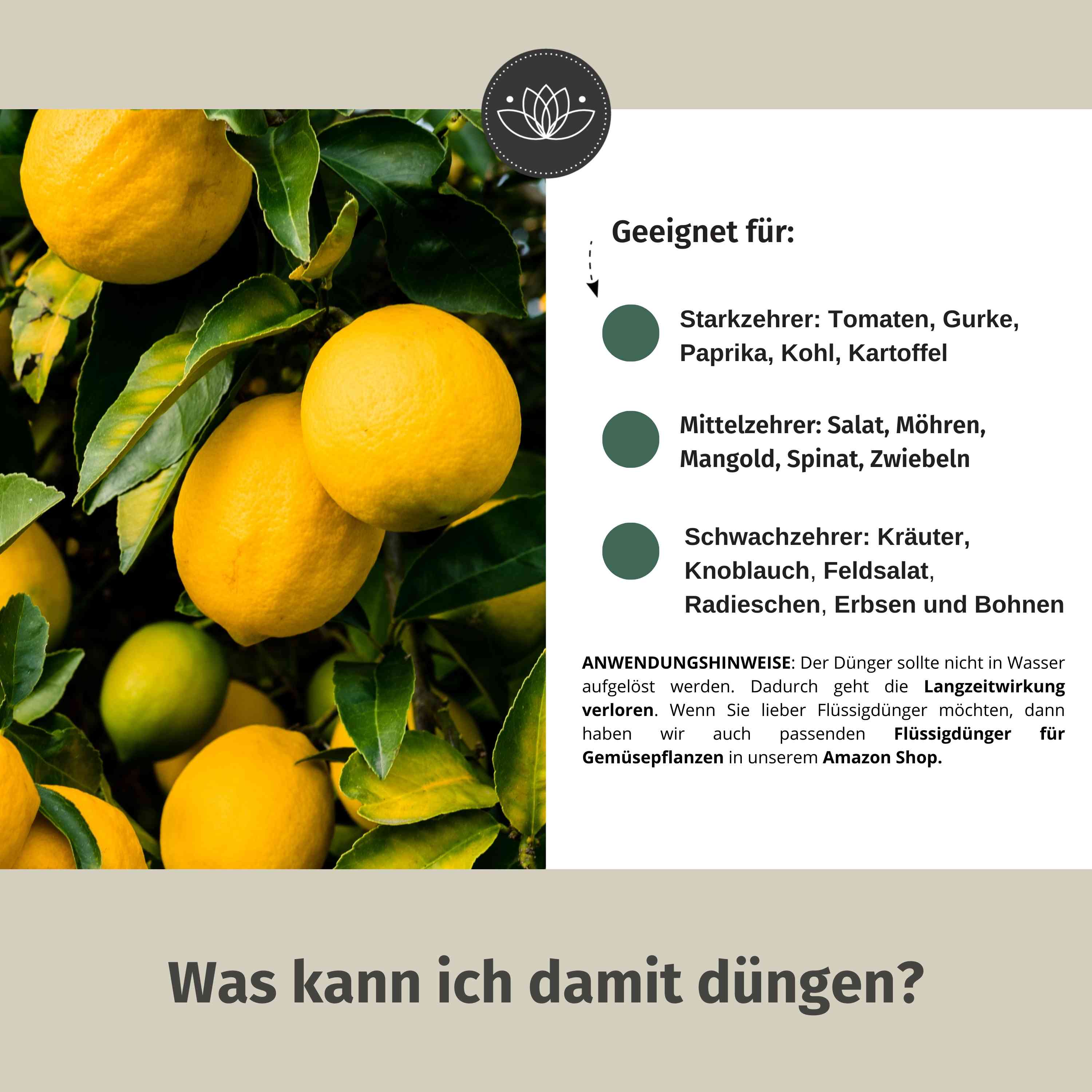 Bio Zitrusdünger Langzeit